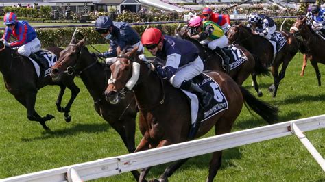 melbourne cup trifecta results|Melbourne Cup Trifecta Payouts 2024 & Historical .